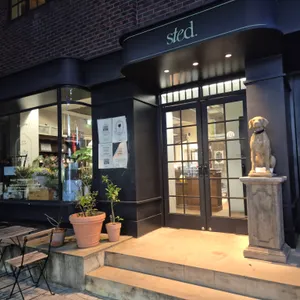 스테드 리뷰 사진
