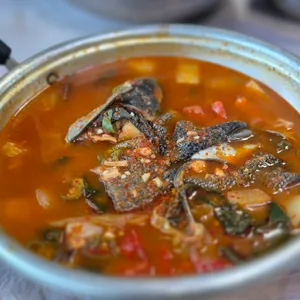 오천교송어 사진