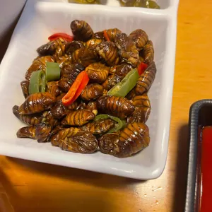 싱싱오징어바다 사진
