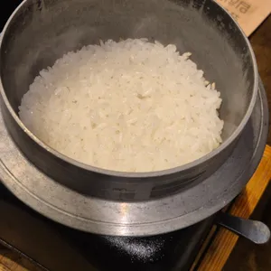 고짚 사진