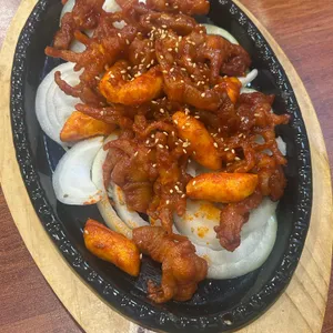88켄터키 사진