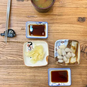 니꼬 사진