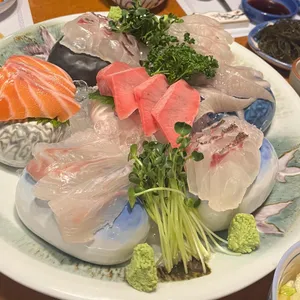 조수사 사진