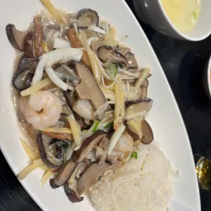 테이블린 사진