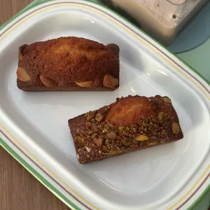 터틀크루 사진