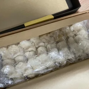 도수향 사진