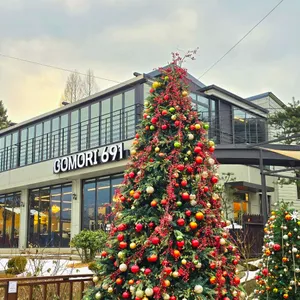 고모리691 리뷰 사진