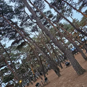 소울 로스터리 리뷰 사진