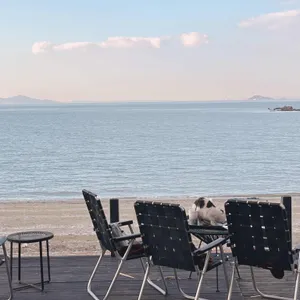 엔틸로프 리뷰 사진