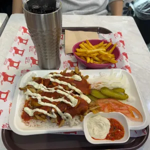 트로이 사진