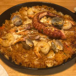 광야 사진