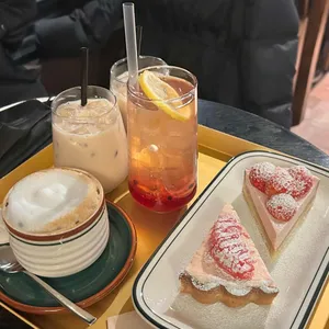 브론시스 사진