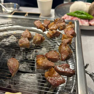식껍 사진