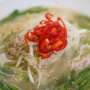 정면 사진