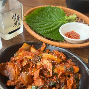 한동이 사진