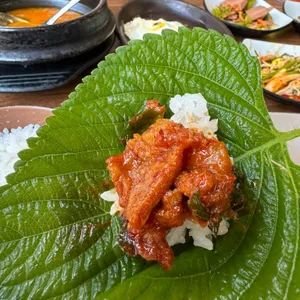 한동이 사진