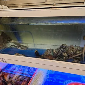 포남거리포차 리뷰 사진