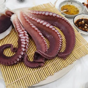 문어양 사진 1
