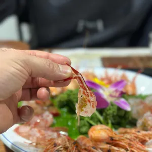 세꼬시닷컴 사진