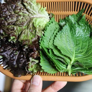 지수농원 사진