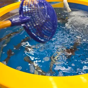 칼언니횟집 리뷰 사진