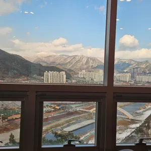 레브아로 사진 2