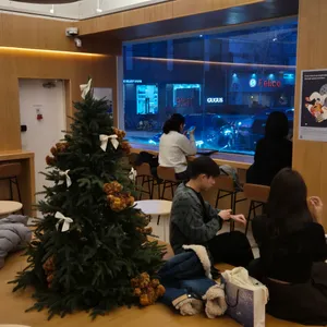 딥다이브 리뷰 사진