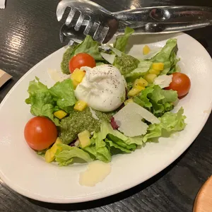 매드포갈릭  사진
