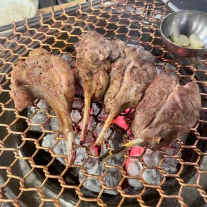 꼼양 사진
