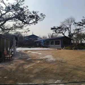 강동 칼국수 리뷰 사진