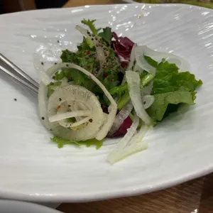 담양애꽃 사진