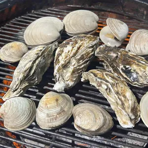조개창고 사진