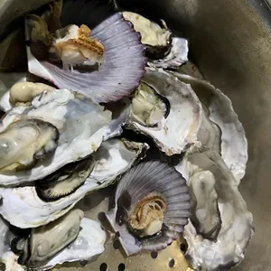 조개창고 사진