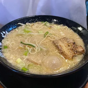 코이라멘 사진