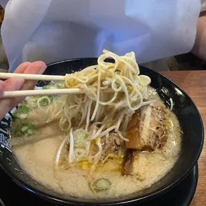 코이라멘 사진