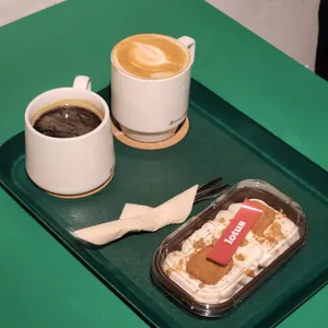 브라운핸즈 사진