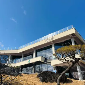 이화림 사진