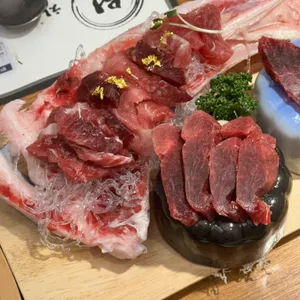 원참치 사진