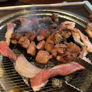 통고집 사진