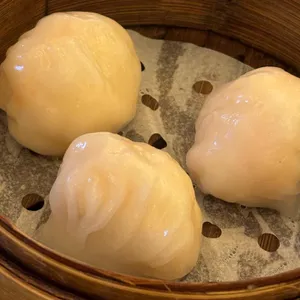 딤타오 사진