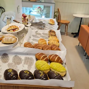 솔티멜로우 사진