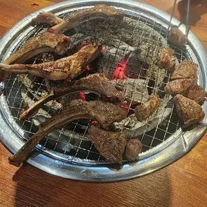 시드니램1901 사진