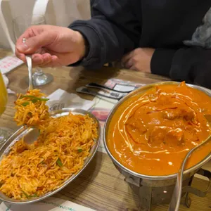 타지펠리스 사진