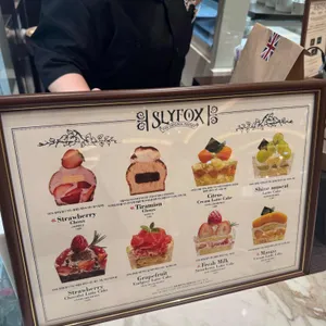 슬라이폭스 리뷰 사진