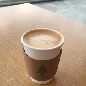 헤이든 사진