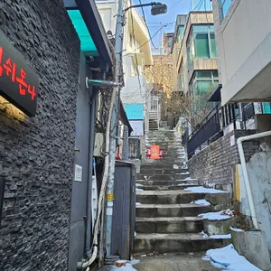 먹쉬돈나 리뷰 사진