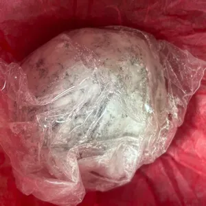 한정선 사진