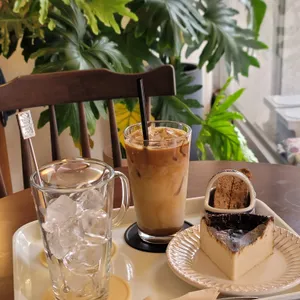 토푸 사진