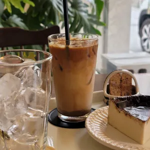 토푸 사진