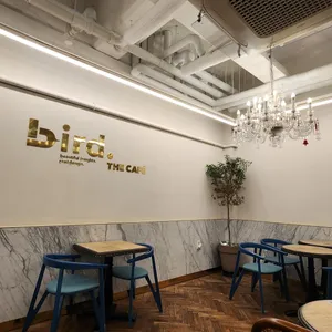 버드더카페 리뷰 사진